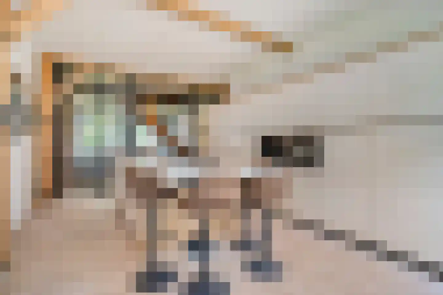 Borkeldweg 3 Markelo thumbnail 13