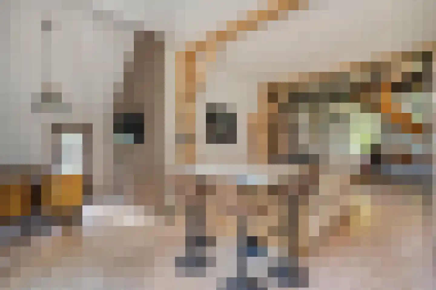 Borkeldweg 3 Markelo thumbnail 14