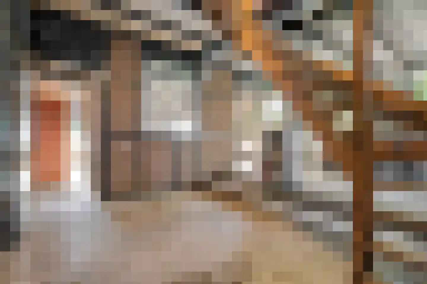 Borkeldweg 3 Markelo thumbnail 18