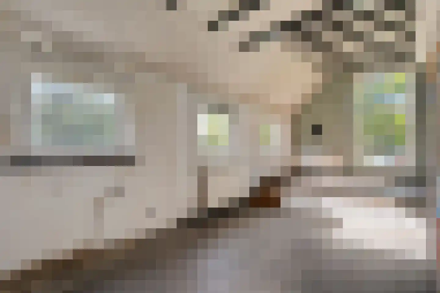 Borkeldweg 3 Markelo thumbnail 24