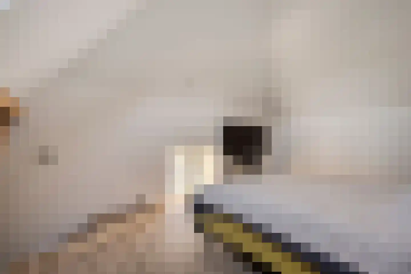Borkeldweg 3 Markelo thumbnail 30