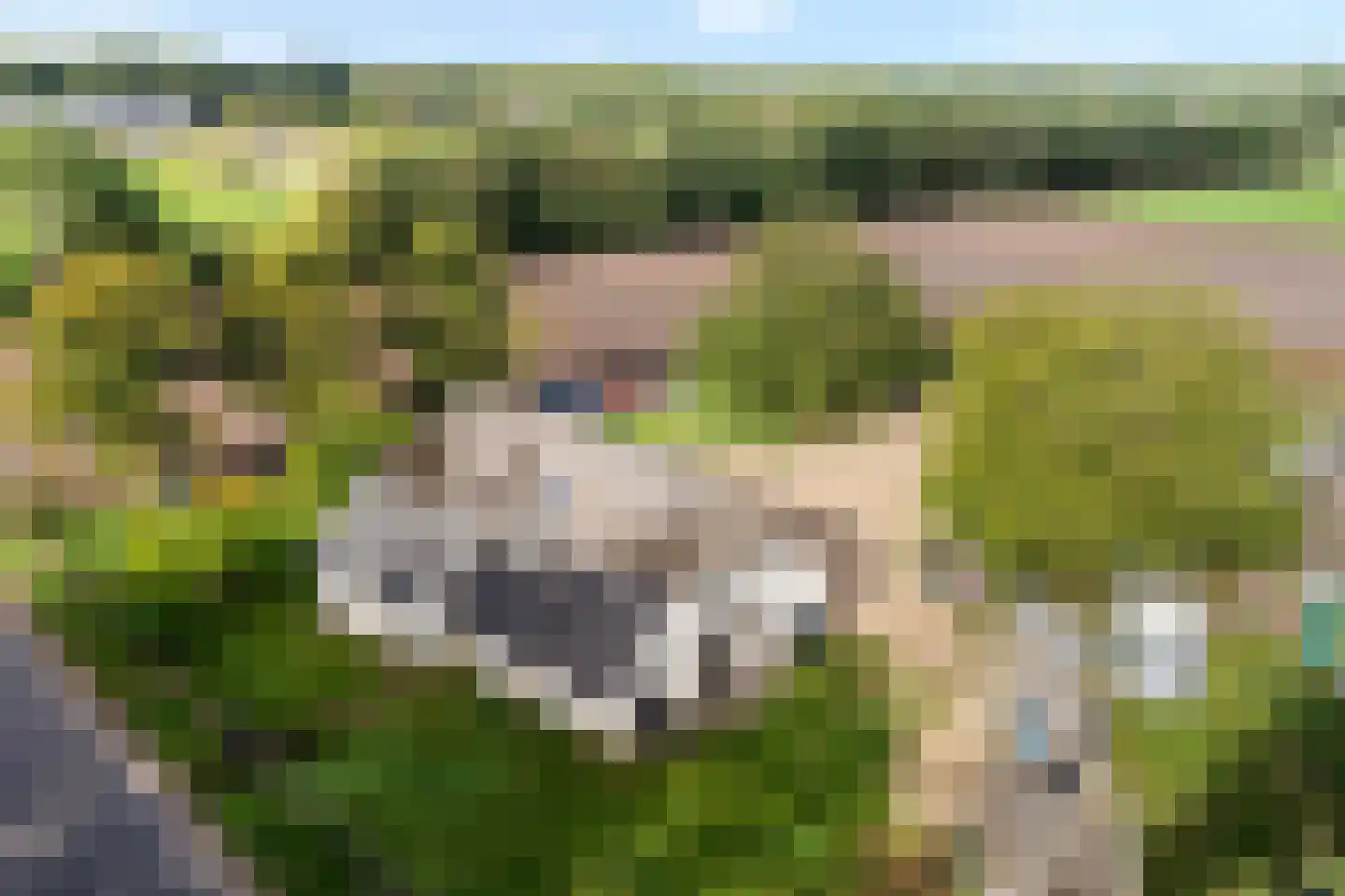 Borkeldweg 3 Markelo thumbnail 4