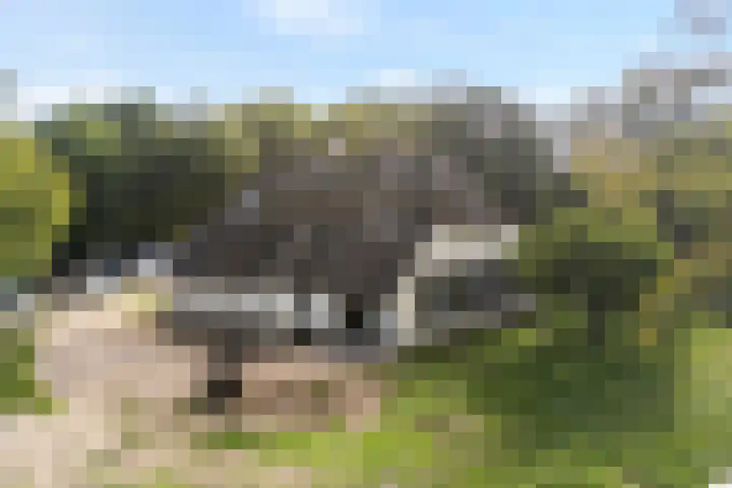 Borkeldweg 3 Markelo thumbnail 43
