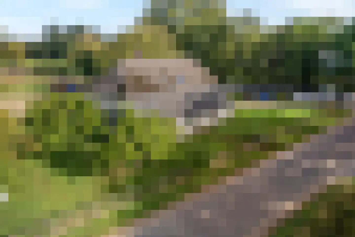Borkeldweg 3 Markelo thumbnail 44