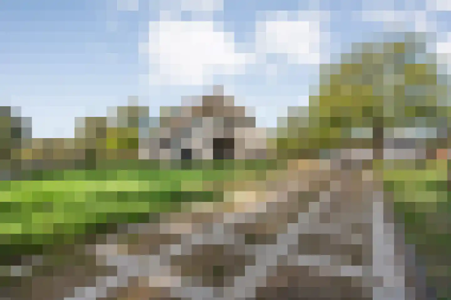 Borkeldweg 3 Markelo thumbnail 49