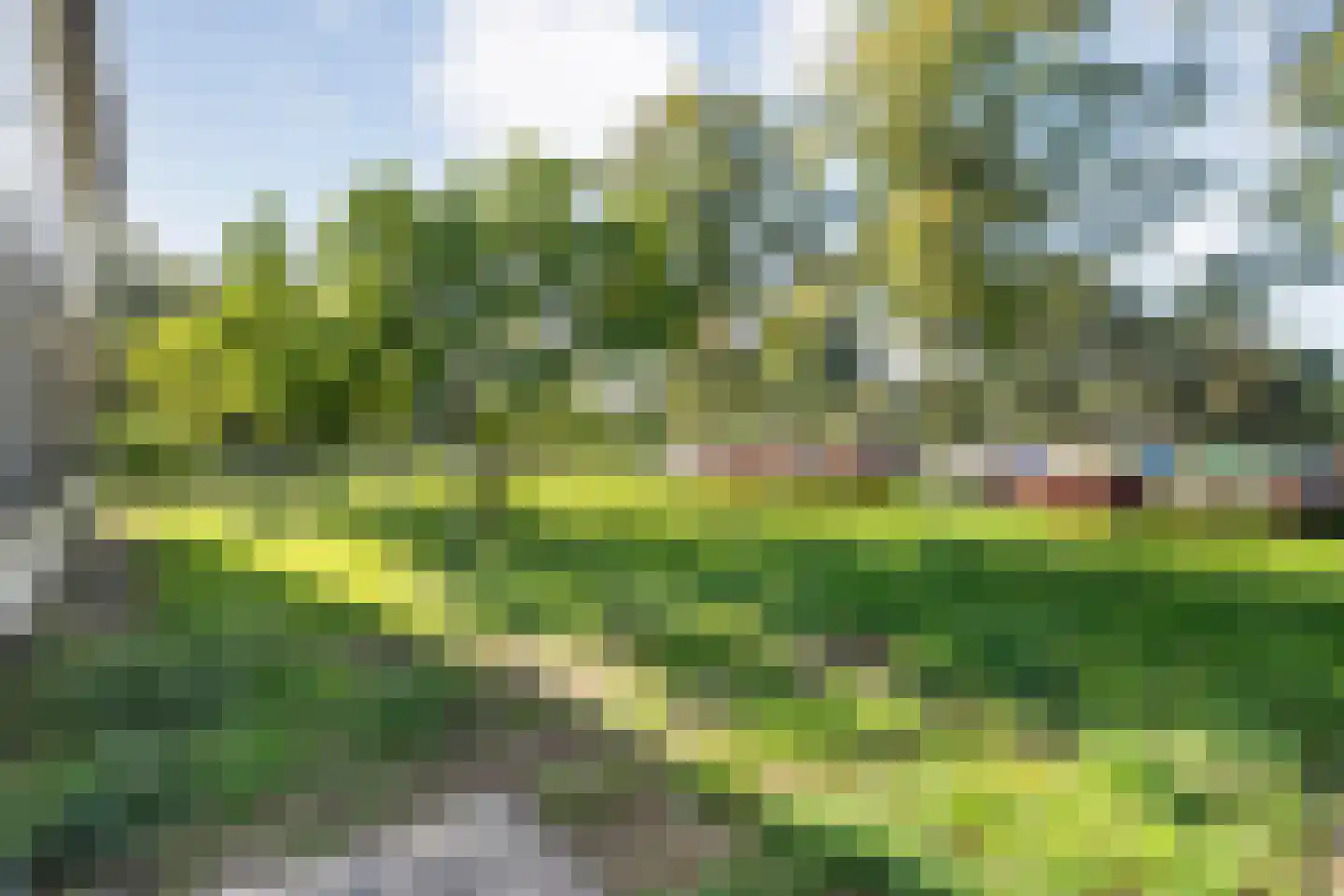 Borkeldweg 3 Markelo thumbnail 52
