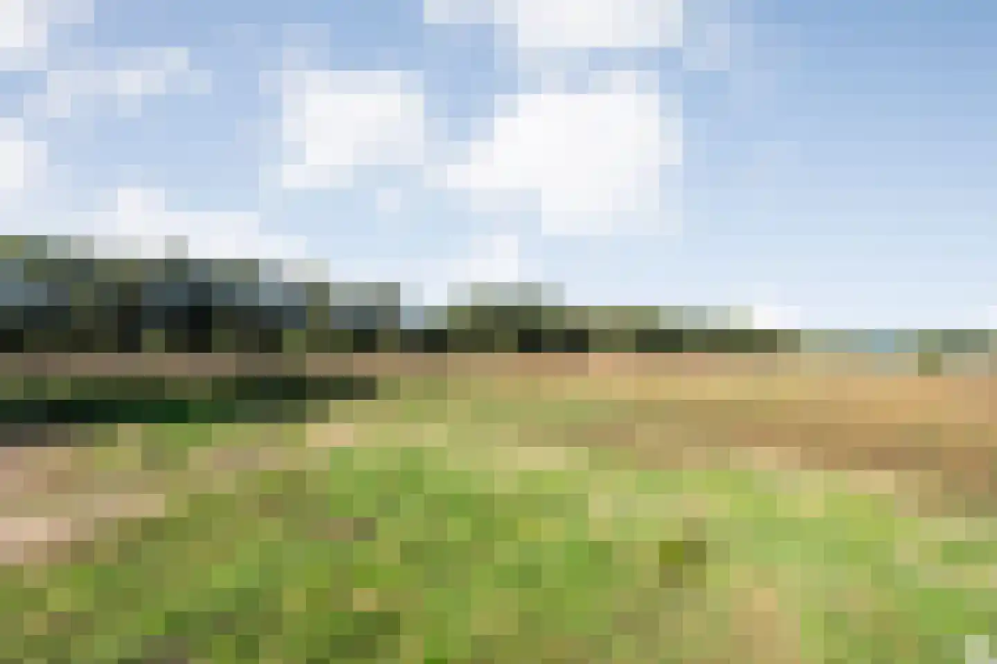 Borkeldweg 3 Markelo thumbnail 53