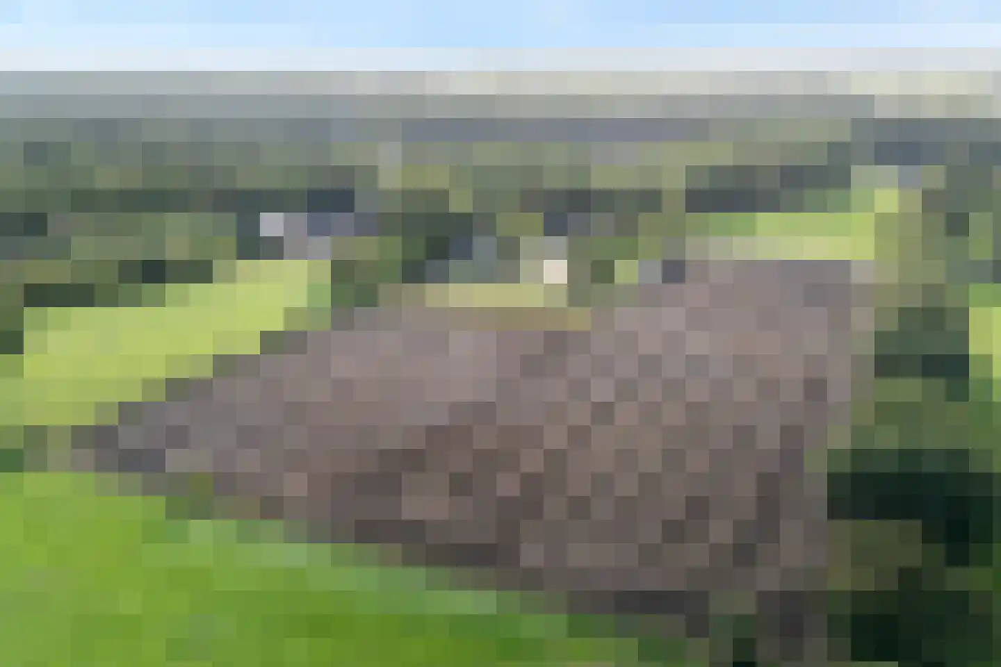 Borkeldweg 3 Markelo thumbnail 57