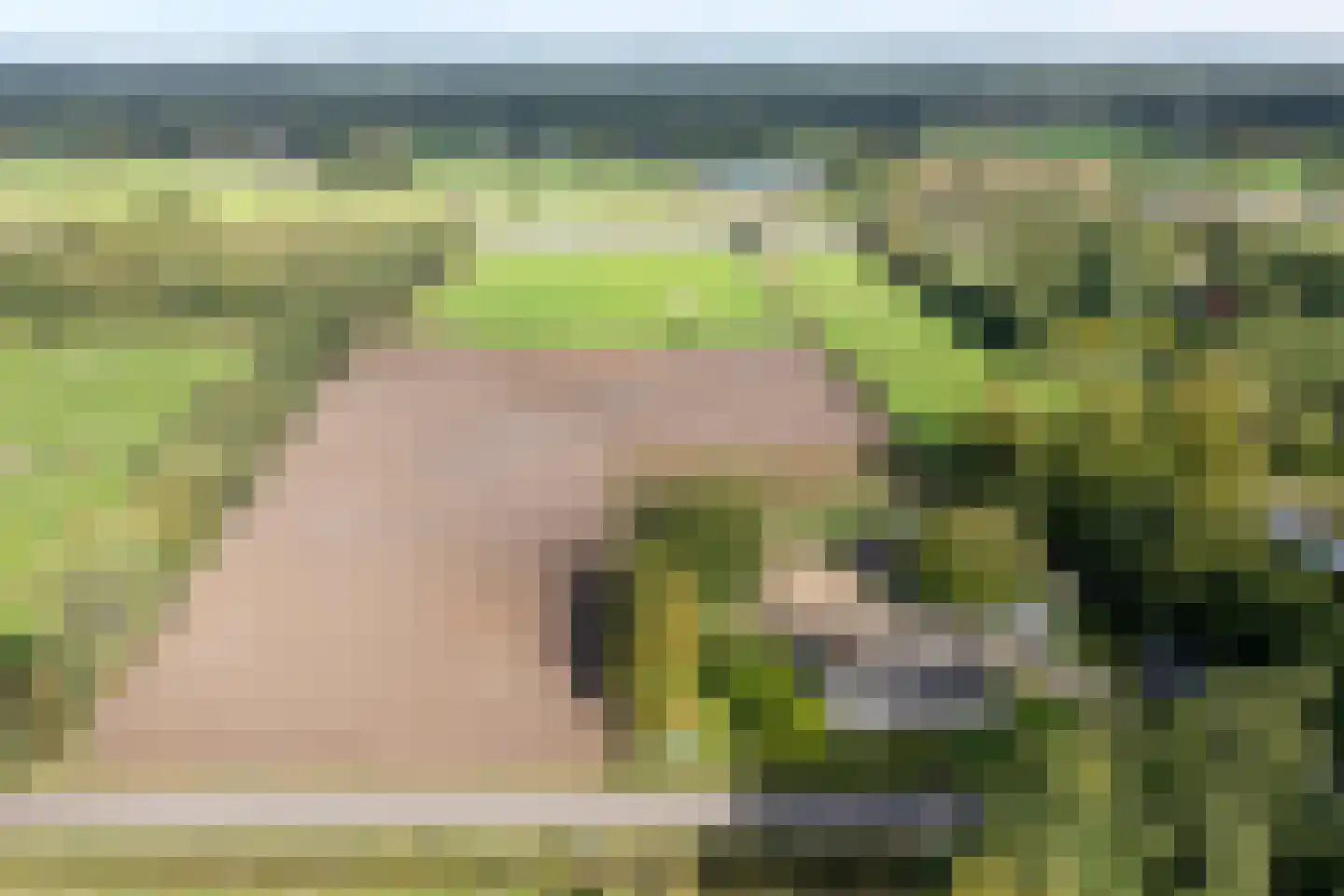 Borkeldweg 3 Markelo thumbnail 58