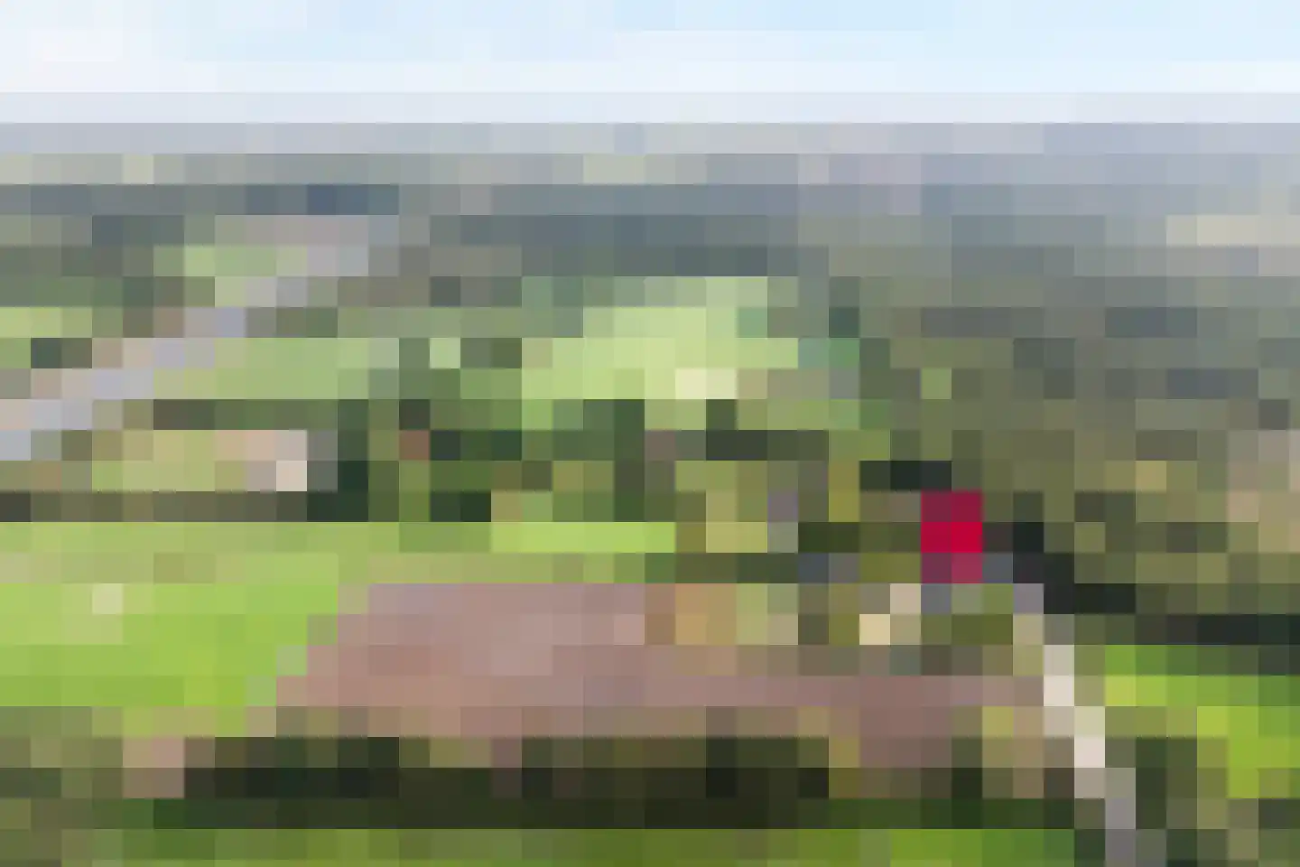 Borkeldweg 3 Markelo thumbnail 59