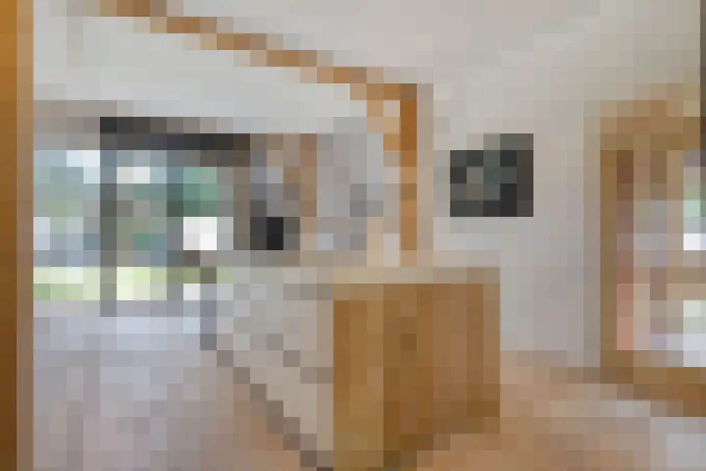 Borkeldweg 3 Markelo thumbnail 9