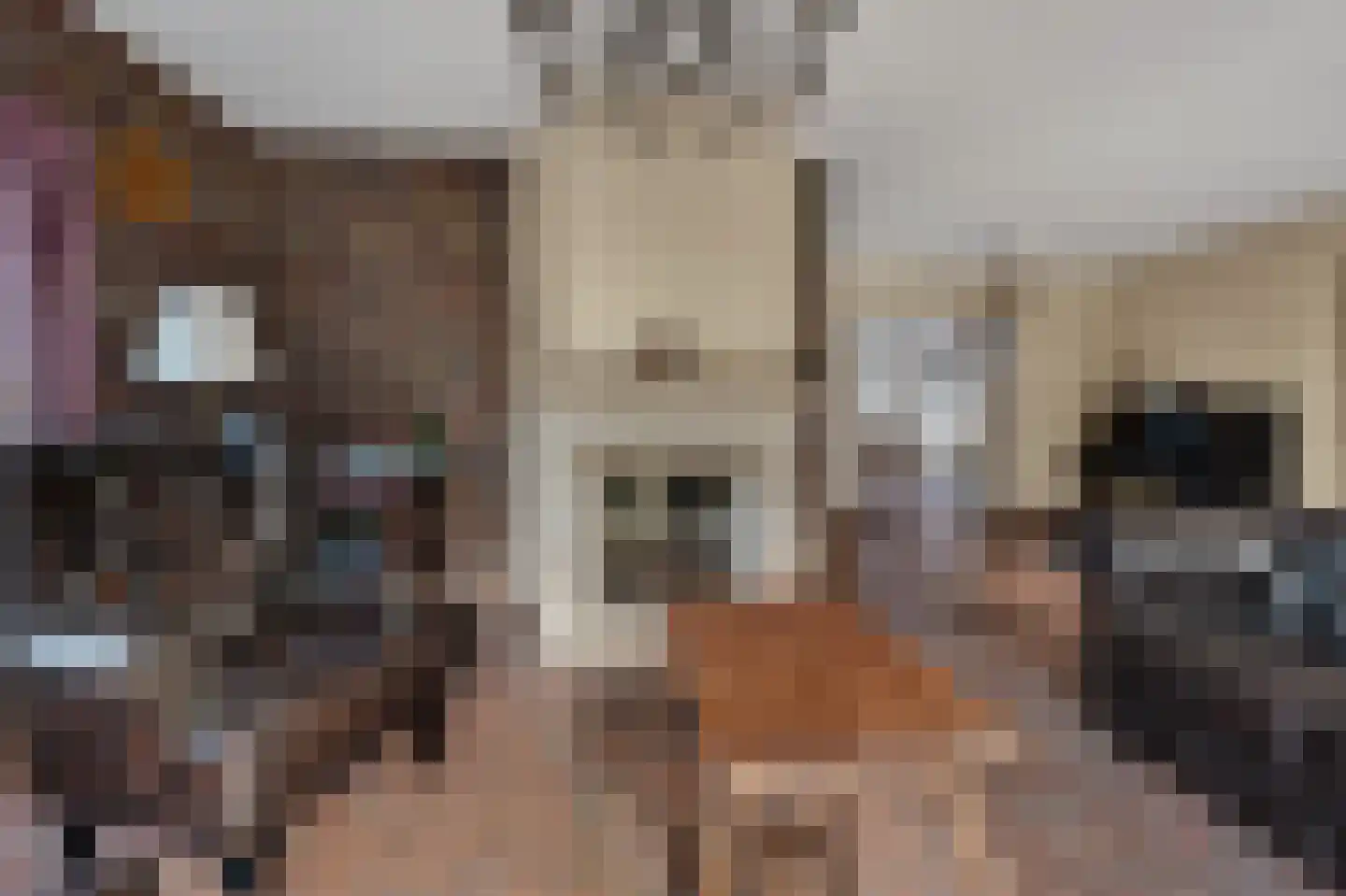 Borkerstraat 16 Klazienaveen thumbnail 10