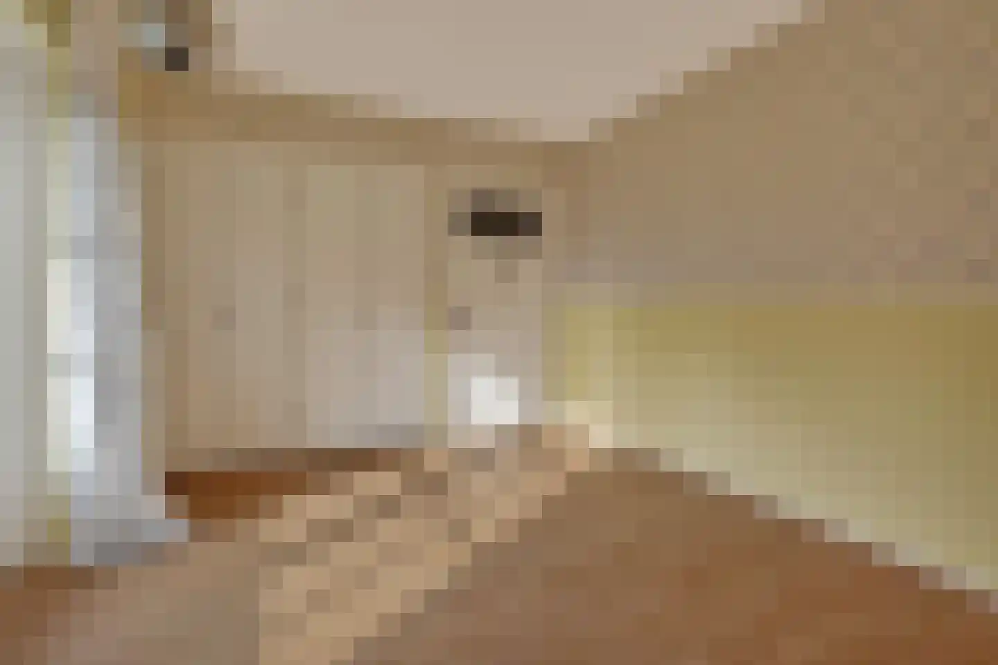 Borkerstraat 16 Klazienaveen thumbnail 22