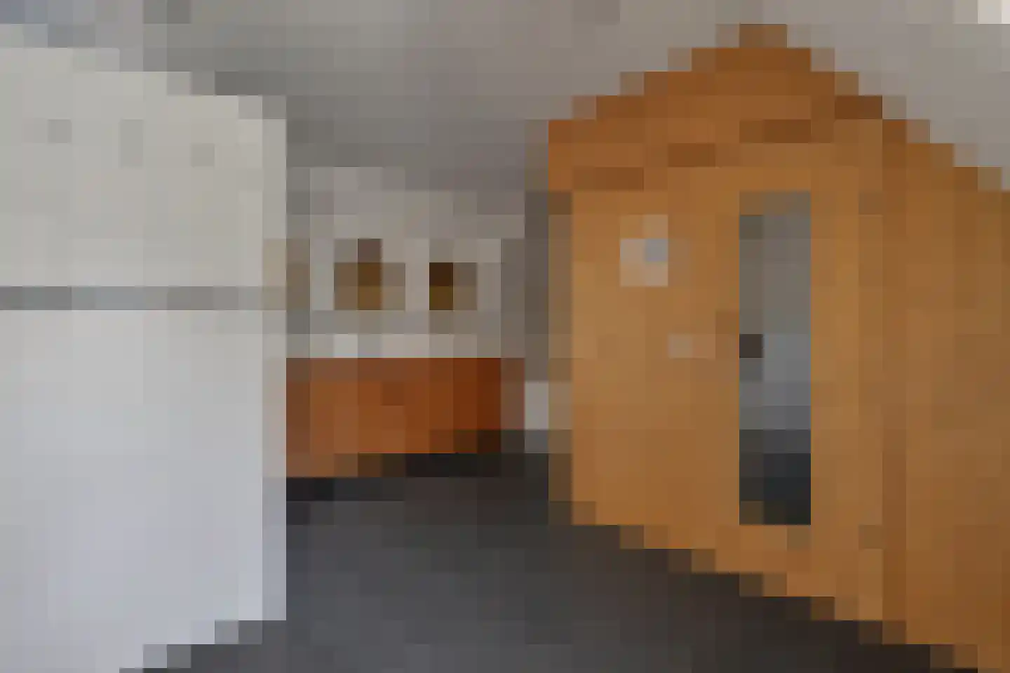 Borkerstraat 16 Klazienaveen thumbnail 41