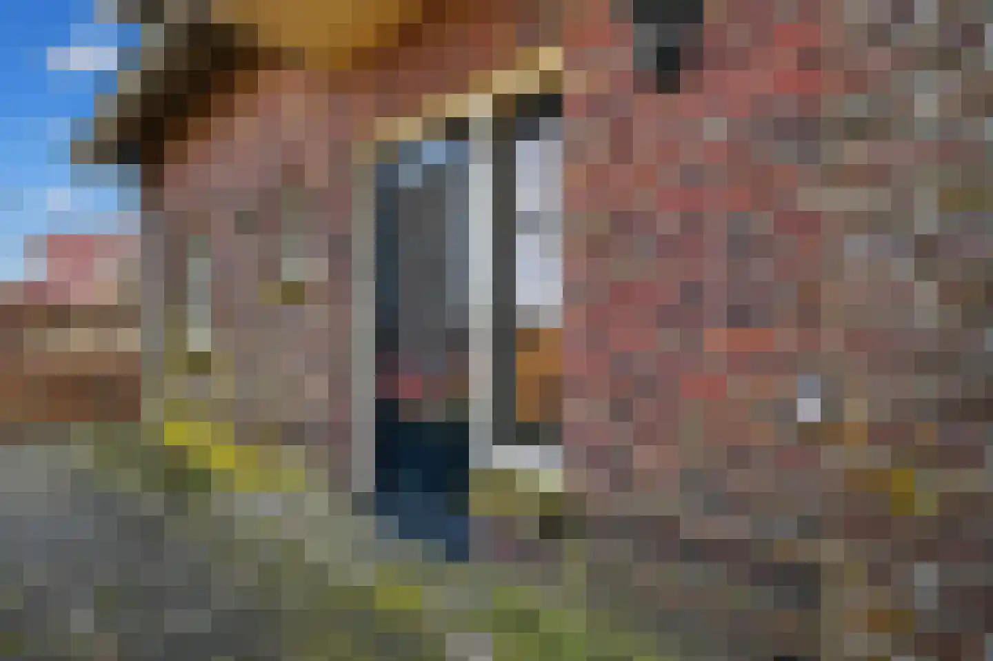Borkerstraat 16 Klazienaveen thumbnail 49