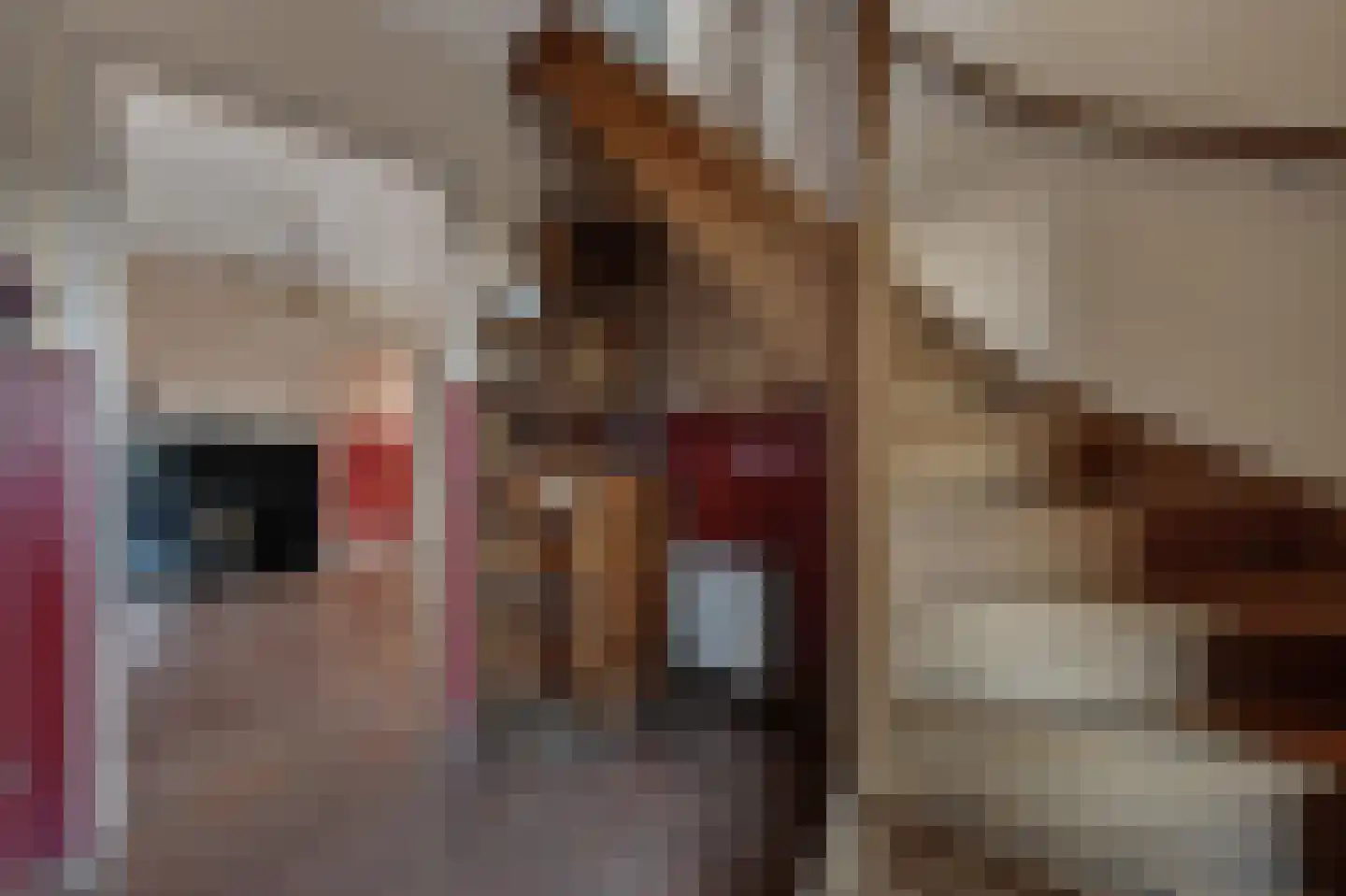 Borkerstraat 16 Klazienaveen thumbnail 5