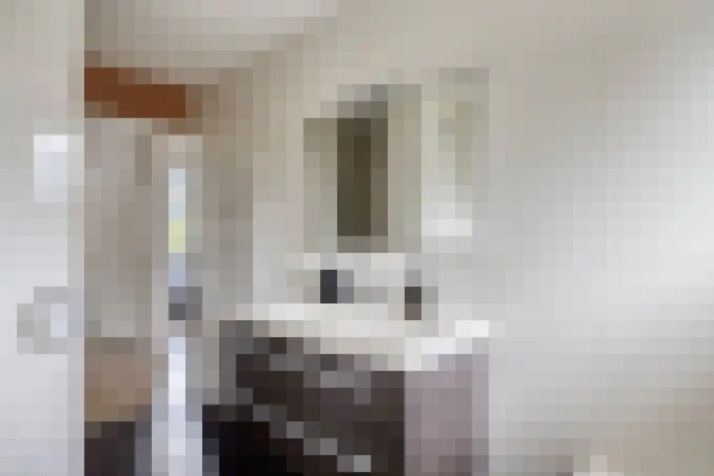 Borkerstraat 23 Klazienaveen thumbnail 14