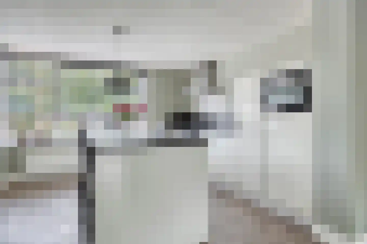 Borkerstraat 23 Klazienaveen thumbnail 5