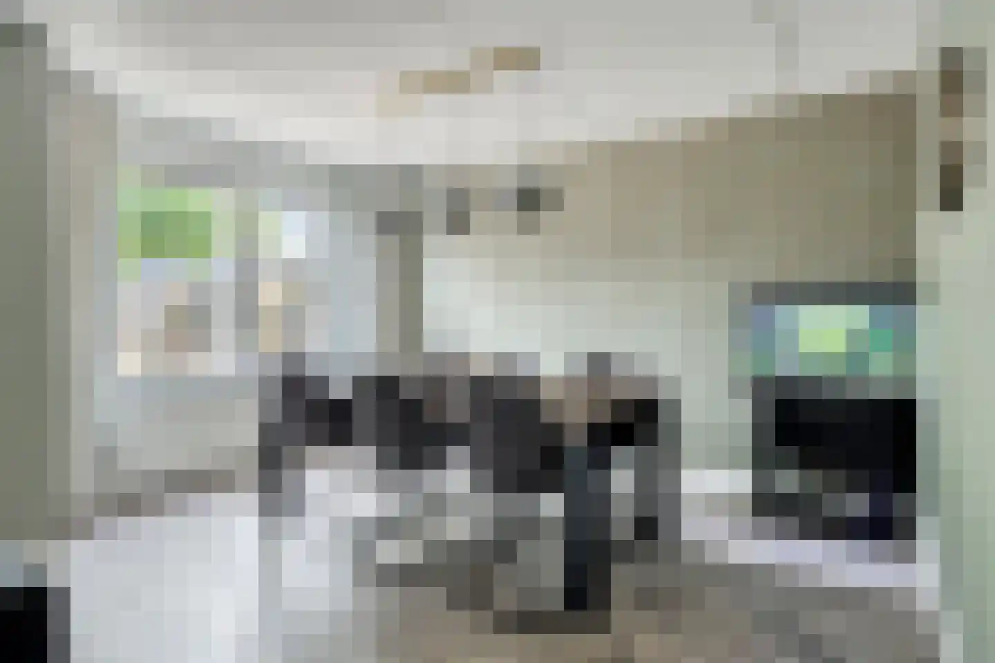 Borkerstraat 23 Klazienaveen thumbnail 7