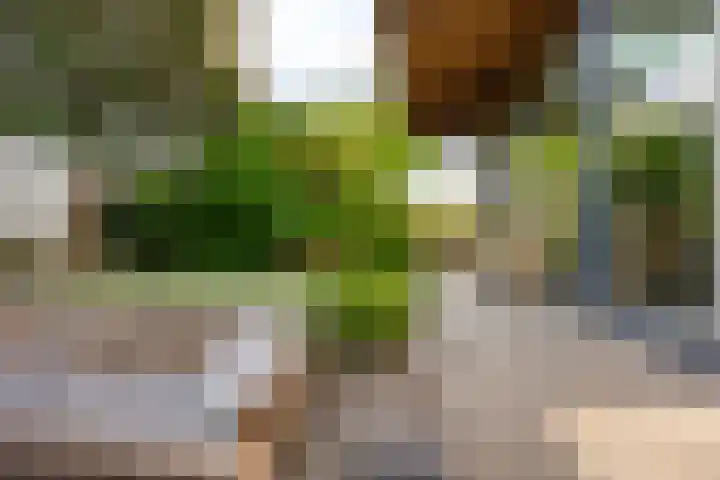 Borkumkade 1 Woerden thumbnail 44