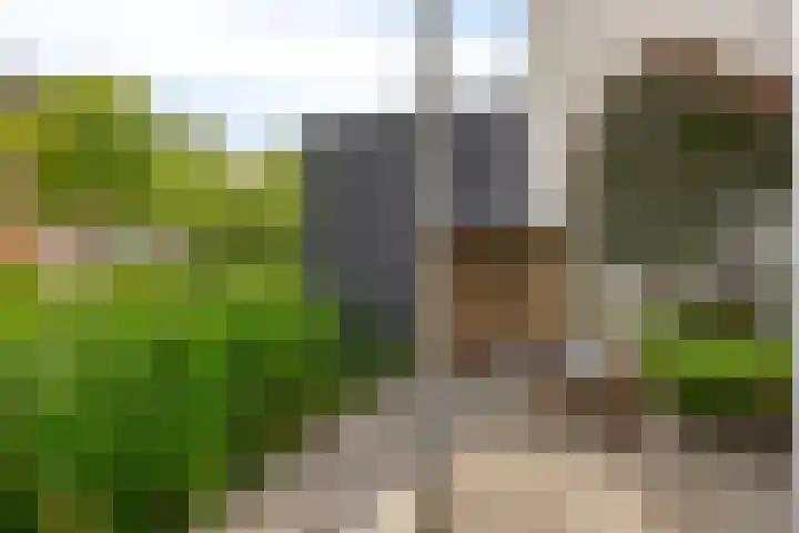 Borkumkade 1 Woerden thumbnail 45