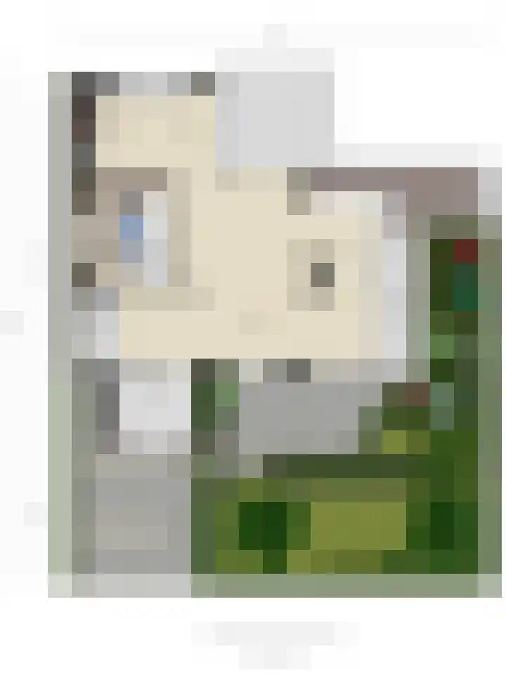 Borkumkade 1 Woerden thumbnail 56