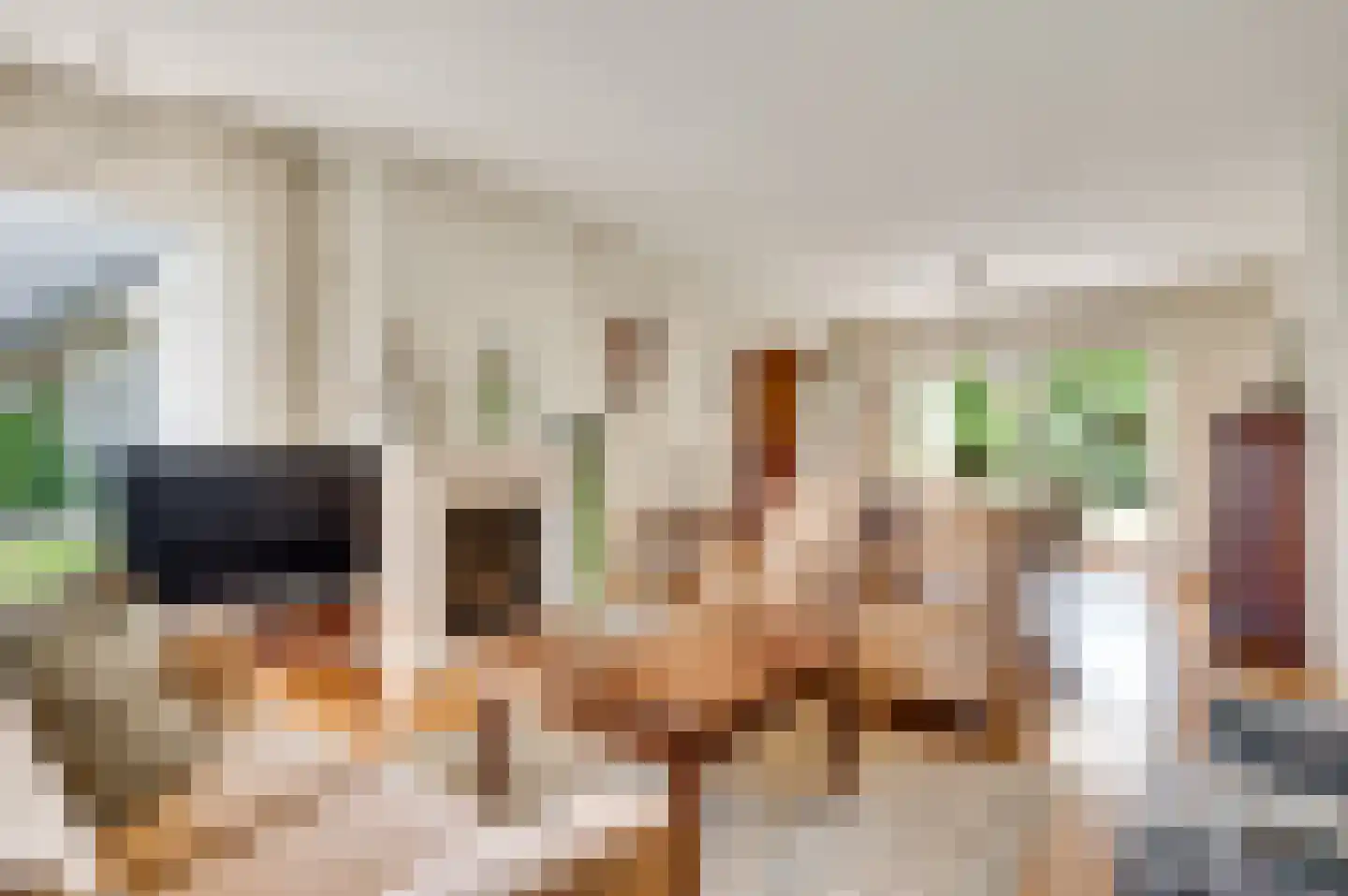 Bormanshof 11 Baexem thumbnail 14