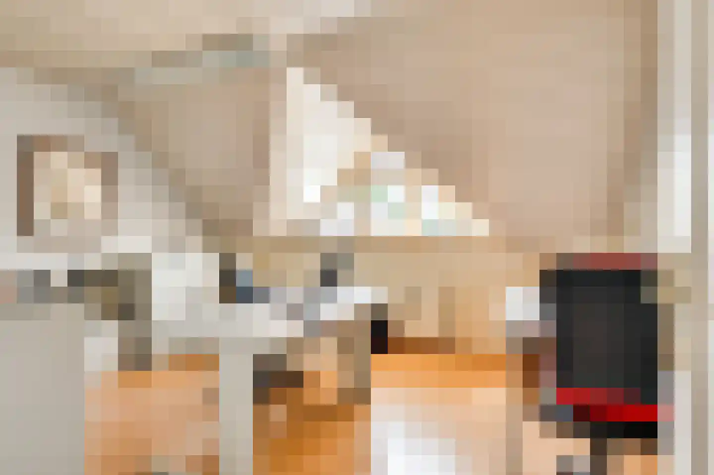 Bormanshof 11 Baexem thumbnail 28
