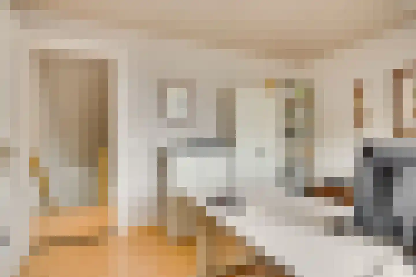 Bormanshof 11 Baexem thumbnail 29