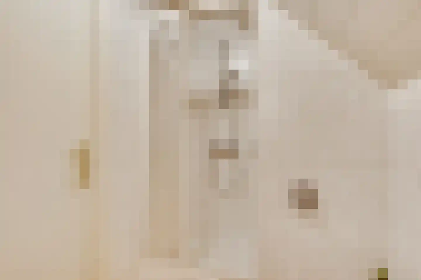 Bormanshof 11 Baexem thumbnail 31