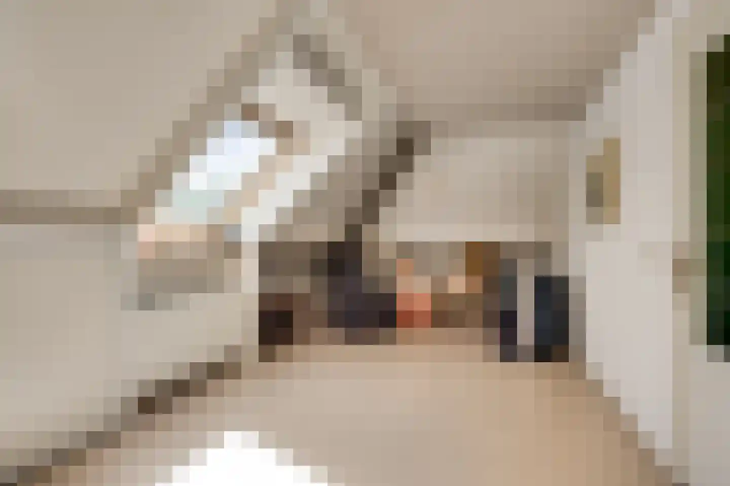 Bormanshof 11 Baexem thumbnail 33