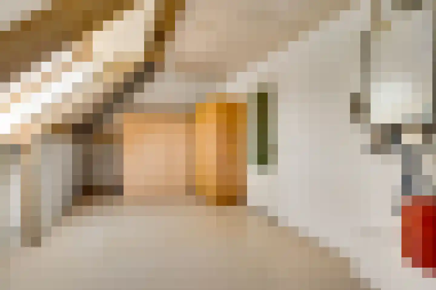 Bormanshof 11 Baexem thumbnail 36