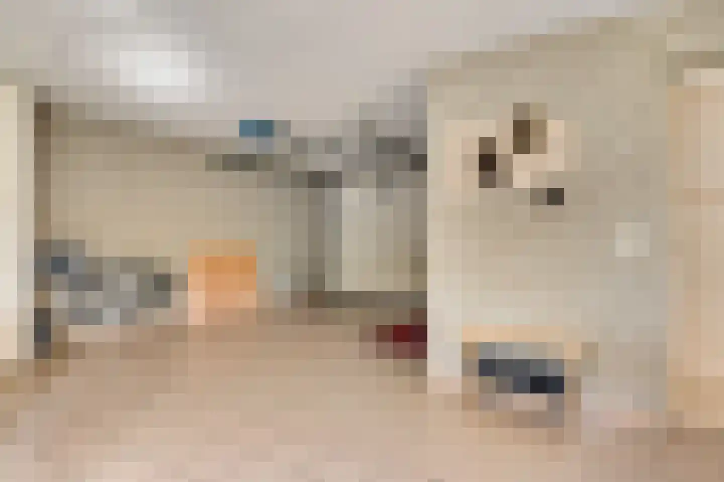 Bormanshof 11 Baexem thumbnail 37