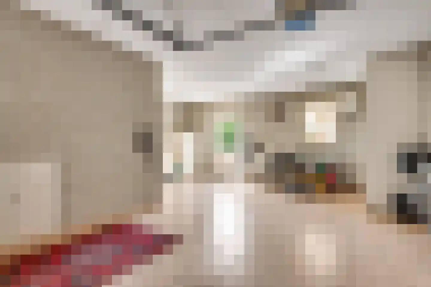 Bormanshof 11 Baexem thumbnail 39