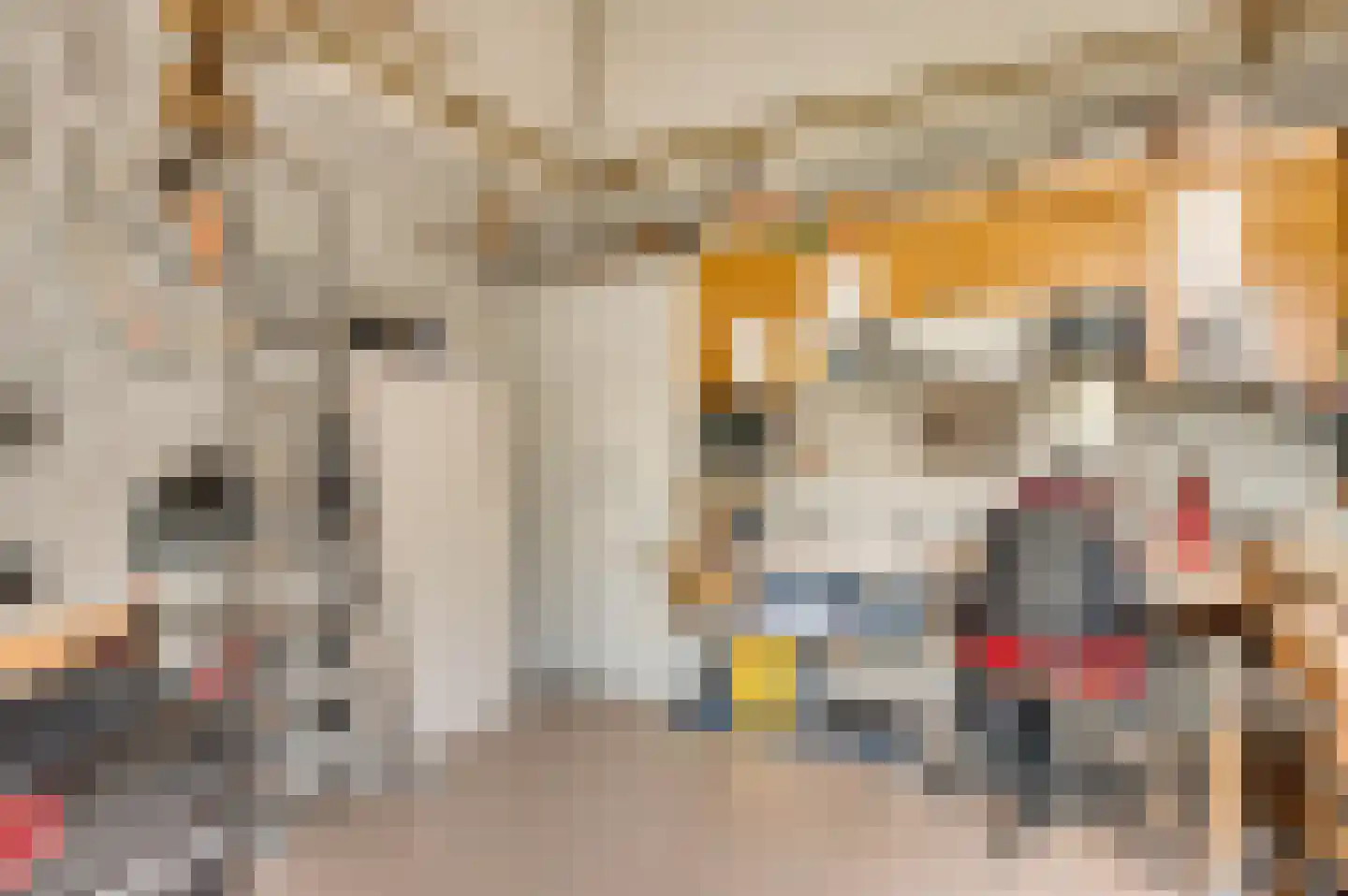 Bormanshof 11 Baexem thumbnail 40