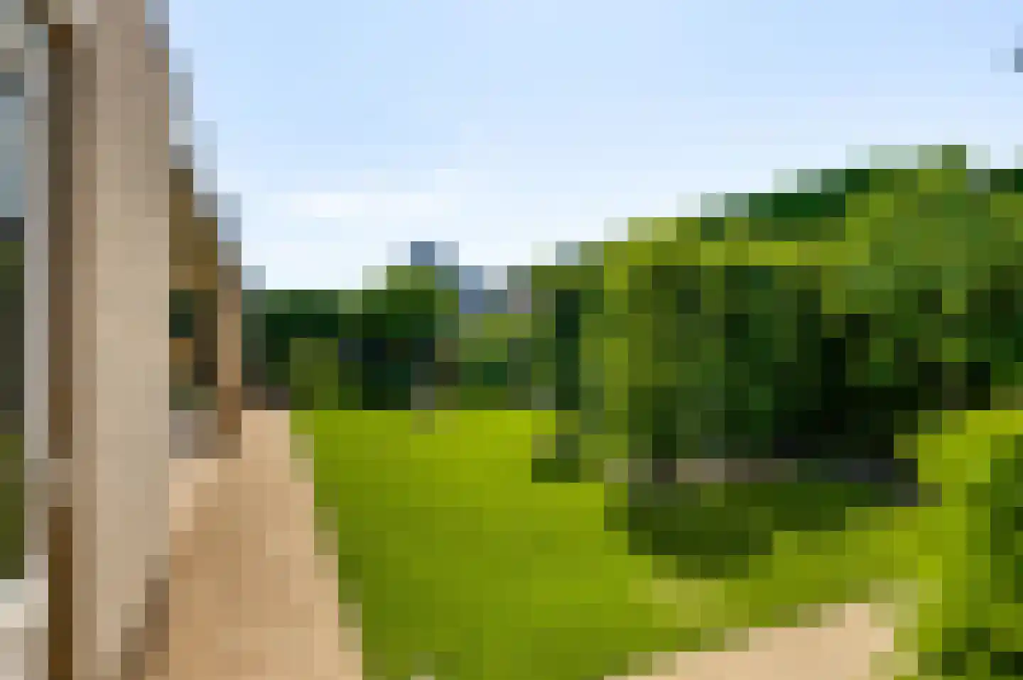 Bormanshof 11 Baexem thumbnail 42
