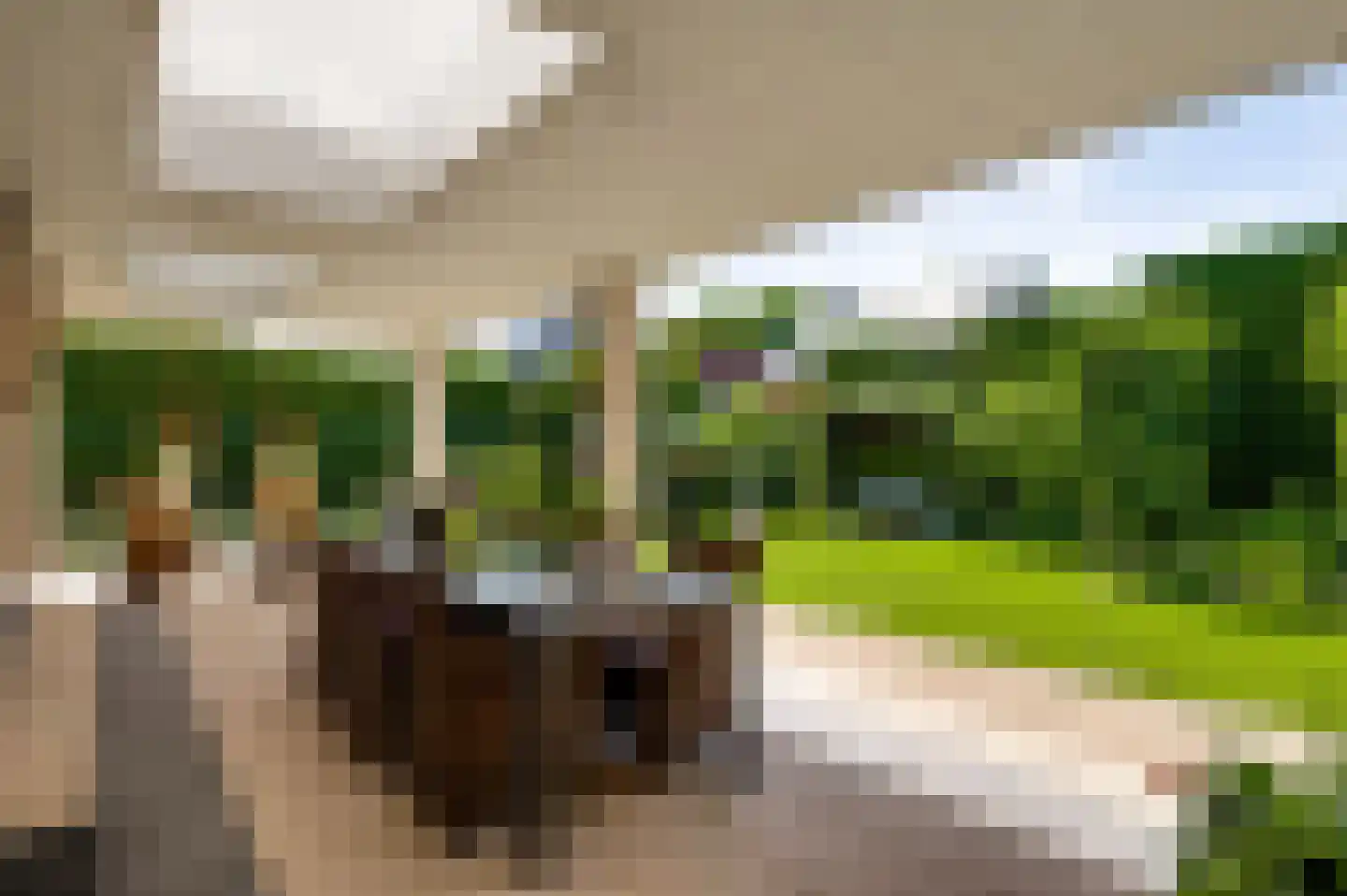 Bormanshof 11 Baexem thumbnail 44