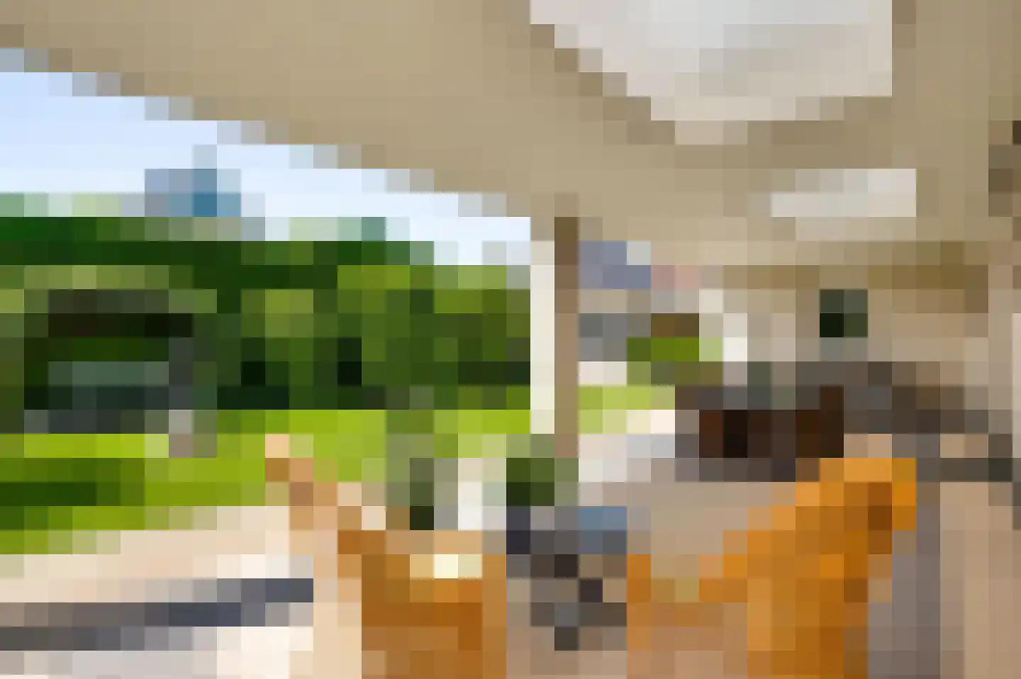Bormanshof 11 Baexem thumbnail 45