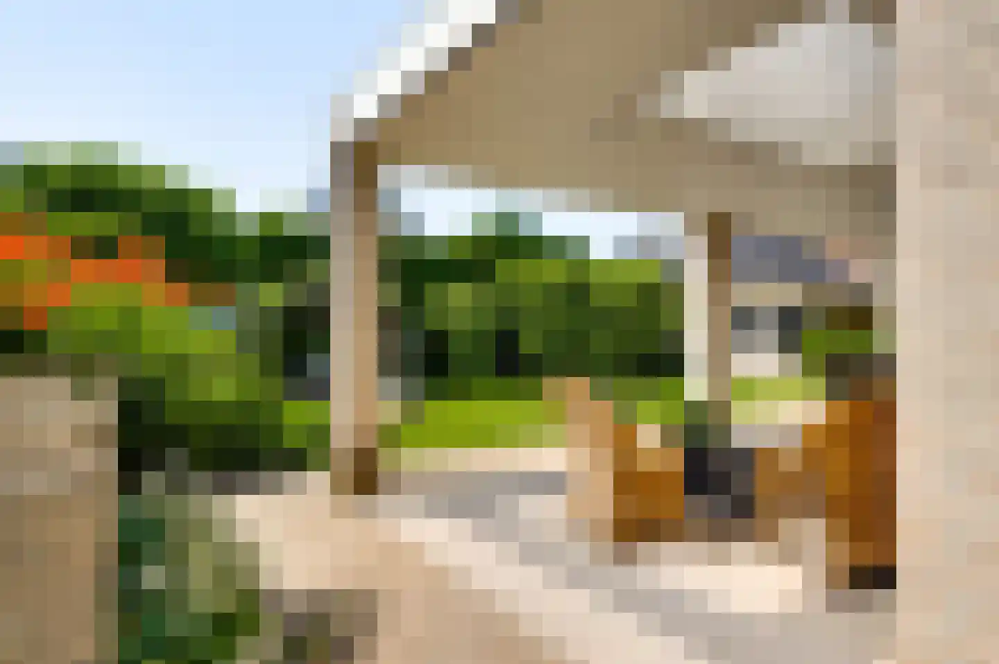Bormanshof 11 Baexem thumbnail 46