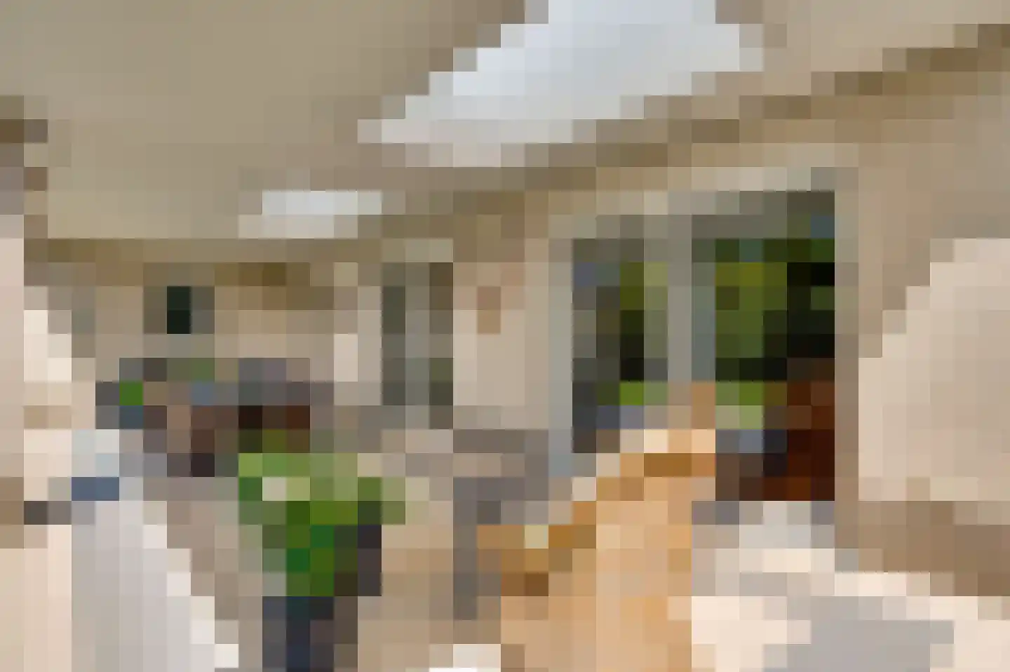 Bormanshof 11 Baexem thumbnail 47