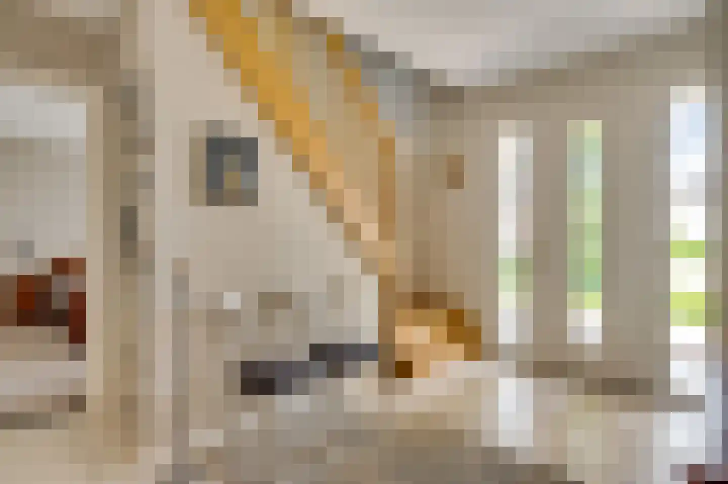 Bormanshof 11 Baexem thumbnail 5