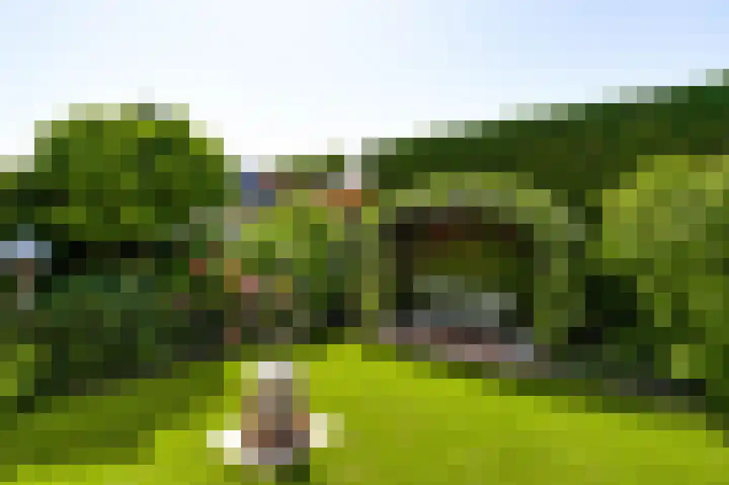 Bormanshof 11 Baexem thumbnail 50