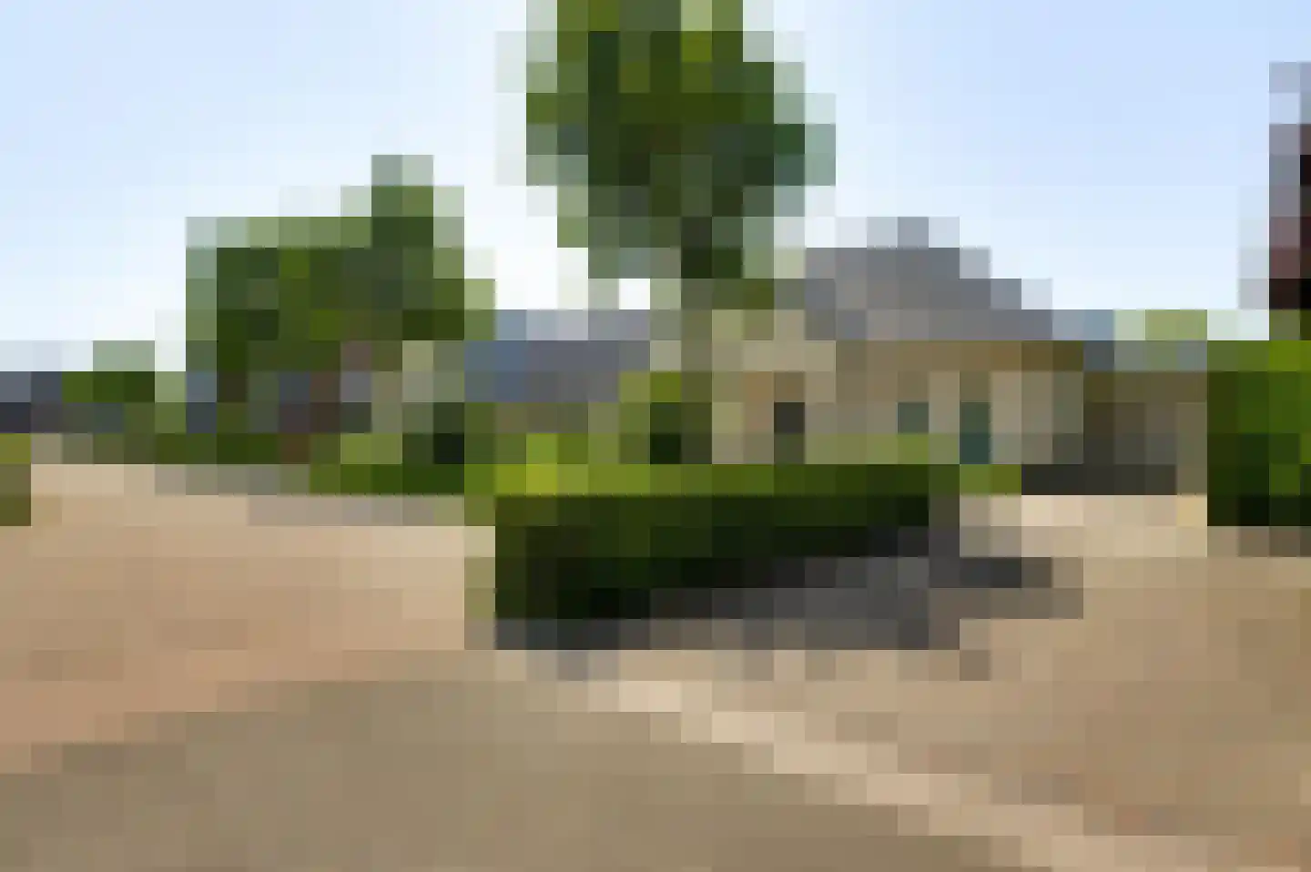 Bormanshof 11 Baexem thumbnail 52