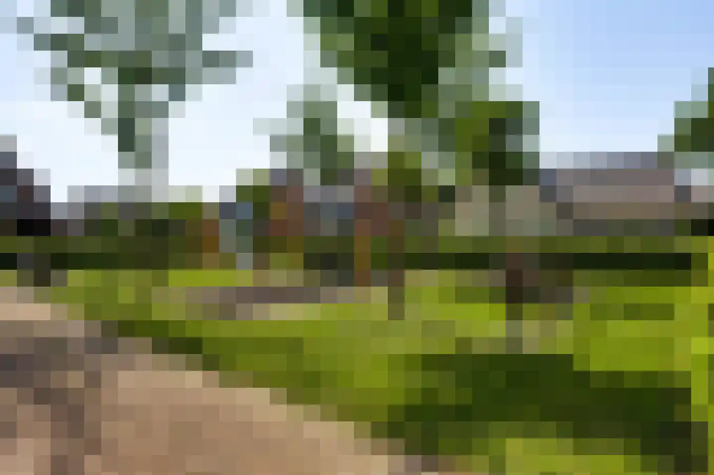 Bormanshof 11 Baexem thumbnail 58