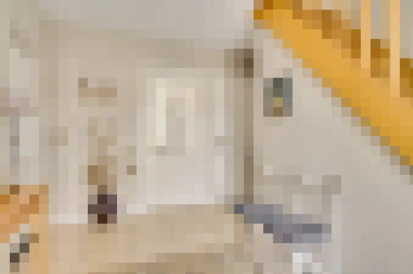 Bormanshof 11 Baexem thumbnail 6