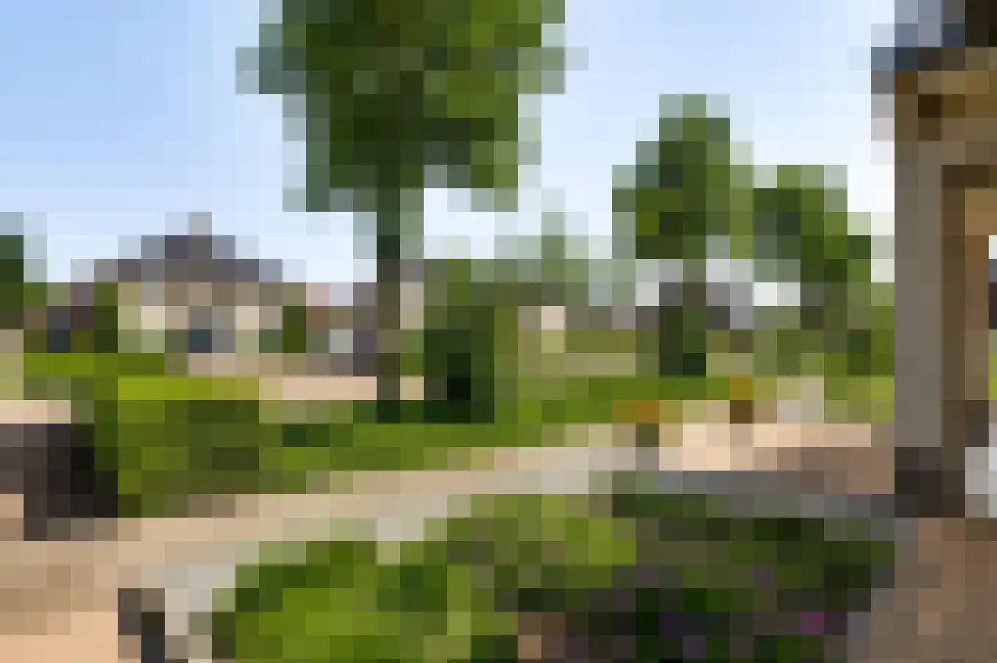 Bormanshof 11 Baexem thumbnail 60