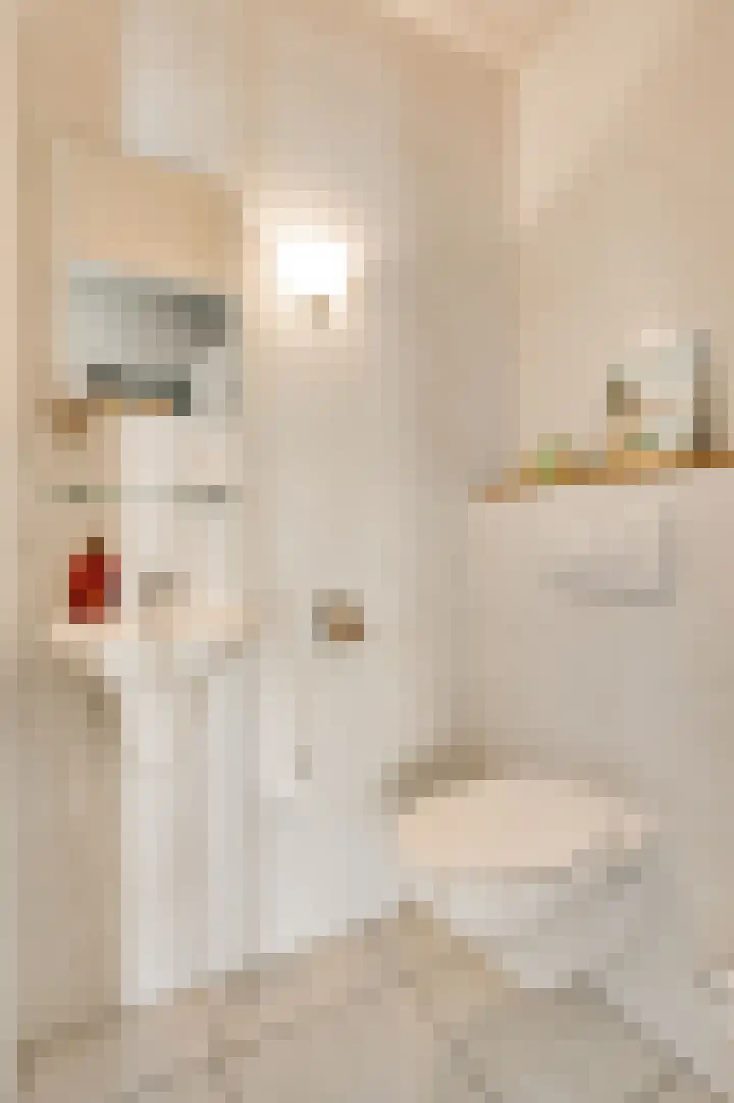 Bormanshof 11 Baexem thumbnail 8