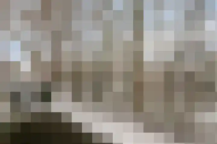 Bornberg 22 Amersfoort thumbnail 22