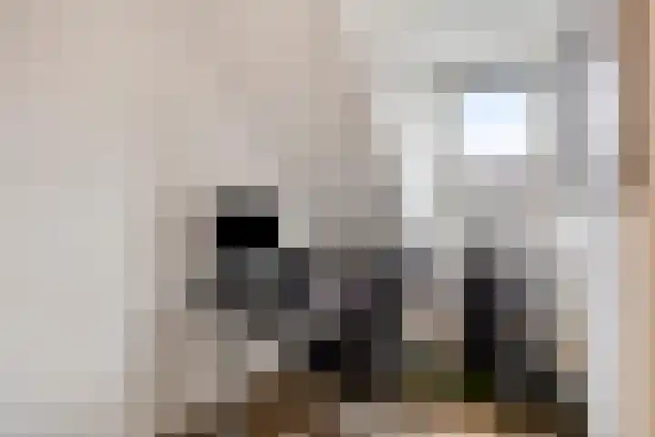 Bornberg 37 Amersfoort thumbnail 35