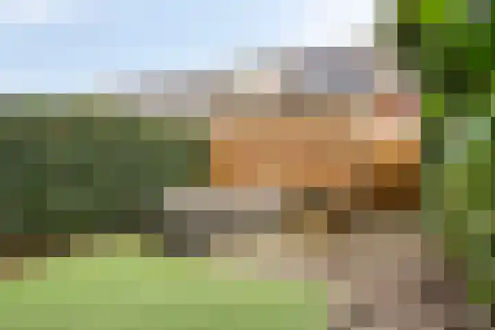 Bornberg 37 Amersfoort thumbnail 36